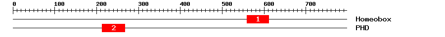 Signature Domain