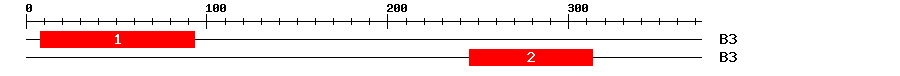 Signature Domain