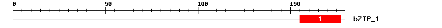 Signature Domain