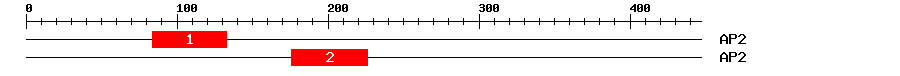 Signature Domain