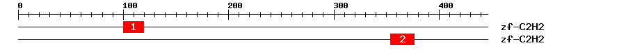 Signature Domain