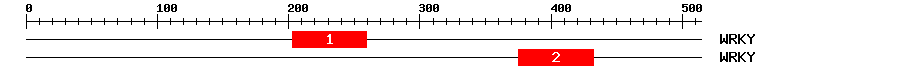 Signature Domain