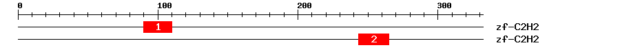 Signature Domain