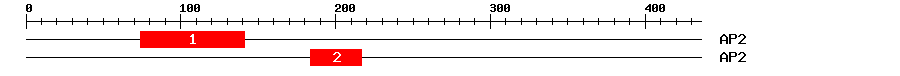 Signature Domain
