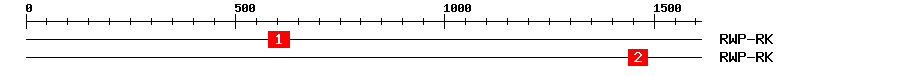 Signature Domain
