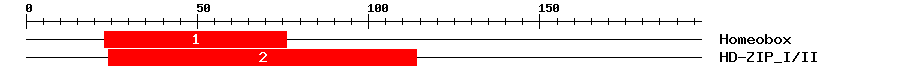 Signature Domain
