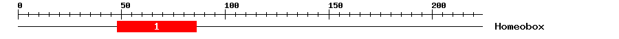 Signature Domain
