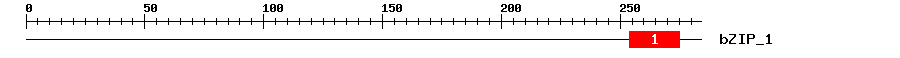 Signature Domain