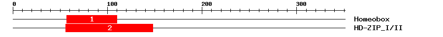 Signature Domain