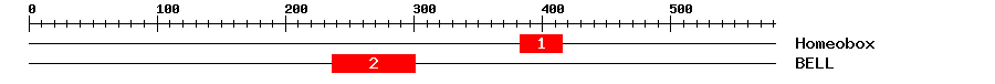 Signature Domain