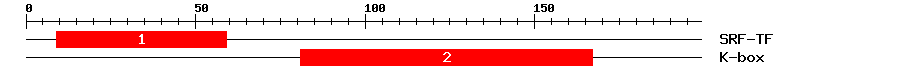 Signature Domain