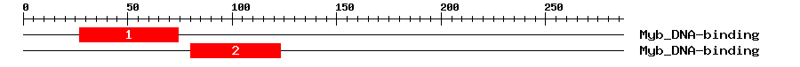 Signature Domain