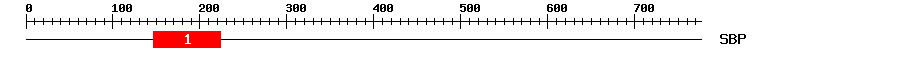 Signature Domain