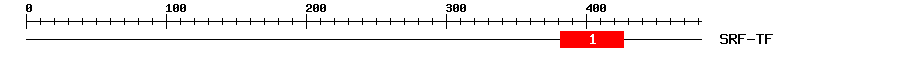 Signature Domain