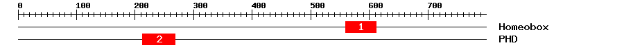 Signature Domain
