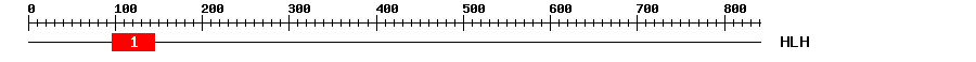 Signature Domain