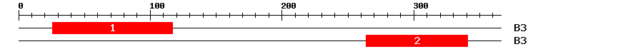Signature Domain