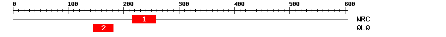 Signature Domain