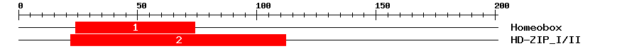 Signature Domain