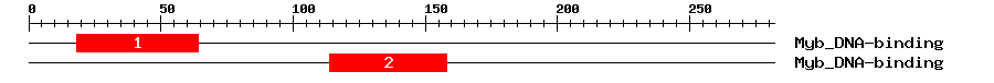 Signature Domain