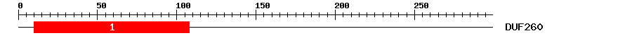 Signature Domain