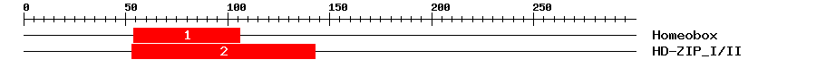 Signature Domain