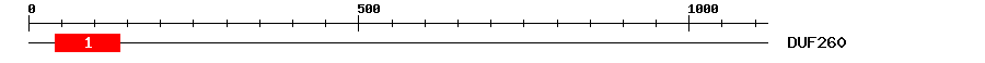 Signature Domain