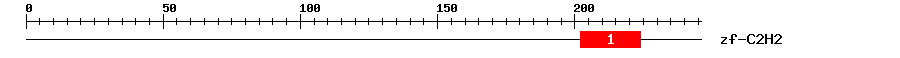 Signature Domain