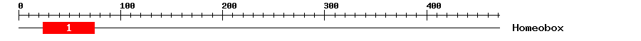 Signature Domain