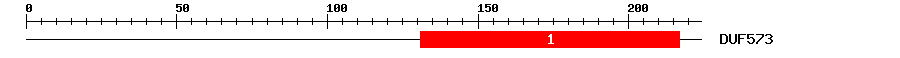 Signature Domain