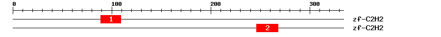 Signature Domain