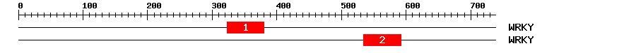 Signature Domain