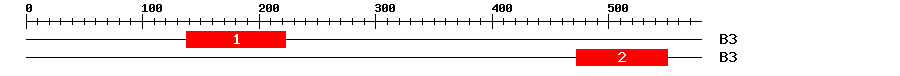 Signature Domain