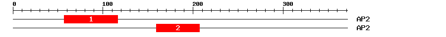 Signature Domain
