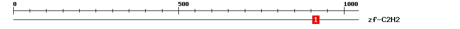 Signature Domain