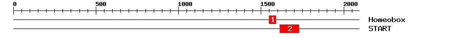 Signature Domain