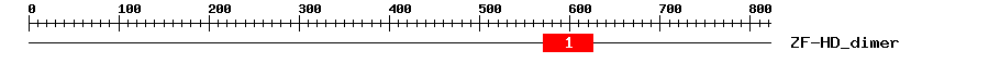 Signature Domain