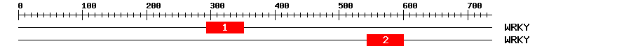 Signature Domain