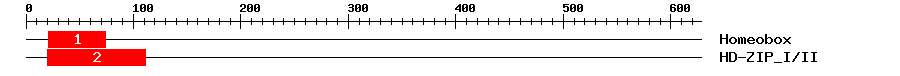 Signature Domain