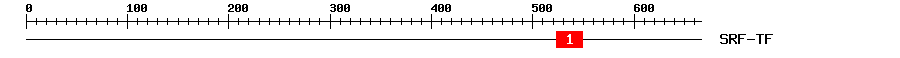 Signature Domain