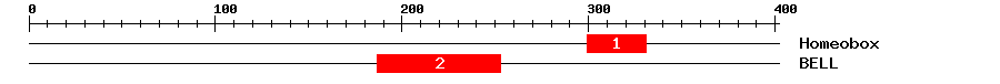 Signature Domain
