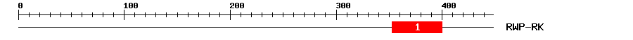 Signature Domain