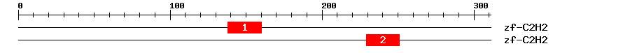 Signature Domain