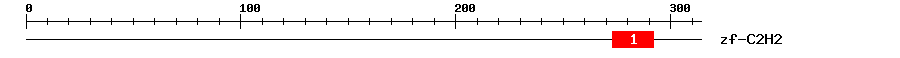 Signature Domain