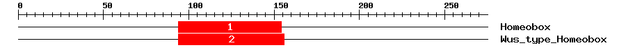 Signature Domain