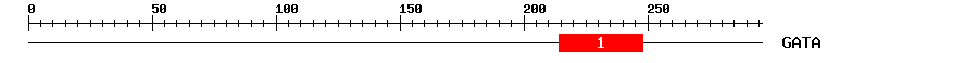 Signature Domain
