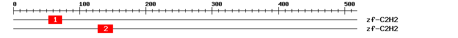 Signature Domain