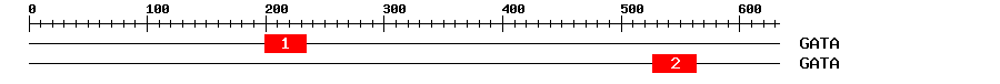 Signature Domain