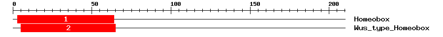 Signature Domain