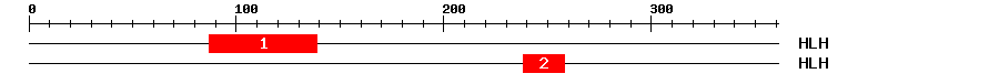 Signature Domain